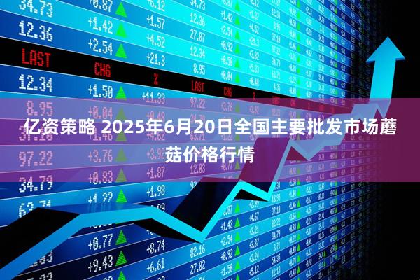 亿资策略 2025年6月20日全国主要批发市场蘑菇价格行情
