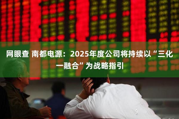 网眼查 南都电源：2025年度公司将持续以“三化一融合”为战略指引