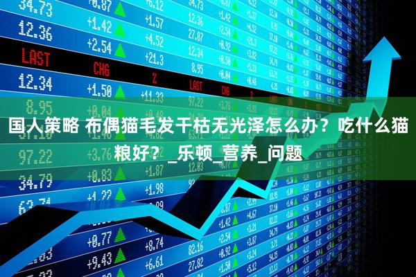 国人策略 布偶猫毛发干枯无光泽怎么办？吃什么猫粮好？_乐顿_营养_问题