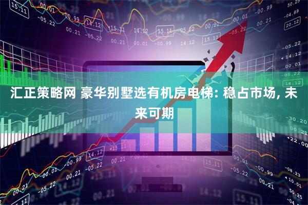 汇正策略网 豪华别墅选有机房电梯: 稳占市场, 未来可期