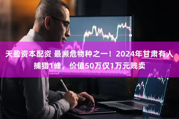天盈资本配资 最濒危物种之一！2024年甘肃有人捕猎1峰，价值50万仅1万元贱卖