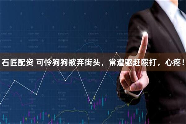 石匠配资 可怜狗狗被弃街头，常遭驱赶殴打，心疼！