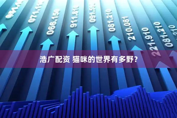 浩广配资 猫咪的世界有多野？