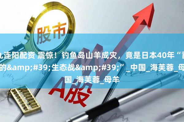 九连阳配资 震惊！钓鱼岛山羊成灾，竟是日本40年“蓄谋的&#39;生态战&#39;”_中国_海芙蓉_母羊