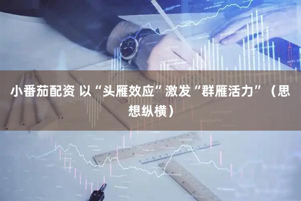 小番茄配资 以“头雁效应”激发“群雁活力”（思想纵横）
