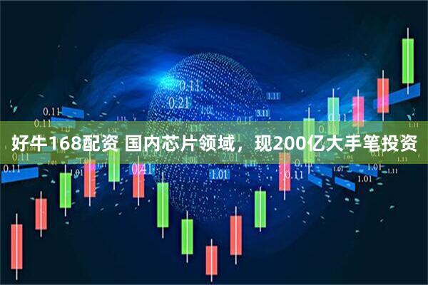 好牛168配资 国内芯片领域，现200亿大手笔投资