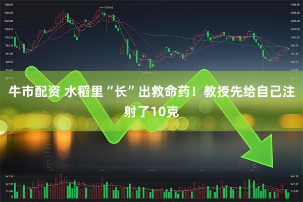 牛市配资 水稻里“长”出救命药！教授先给自己注射了10克